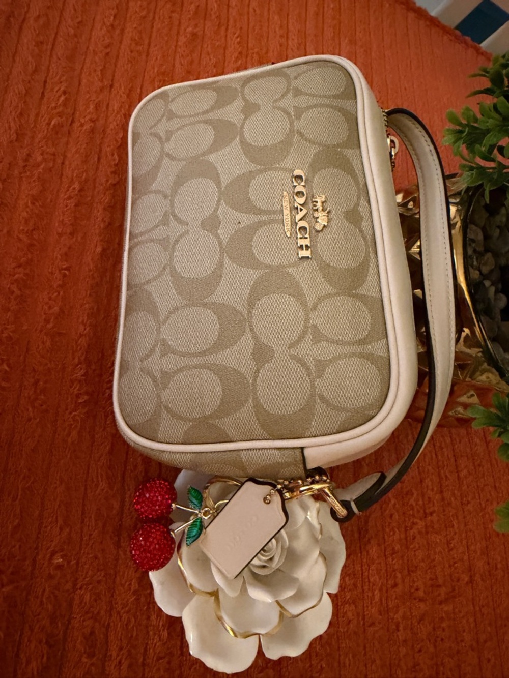 Coach Signature Monogram Crossbody Bag in Beige - Picture 6 of 16